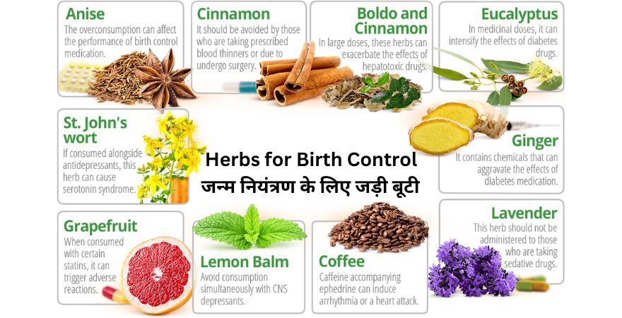 Herbs for Birth Control